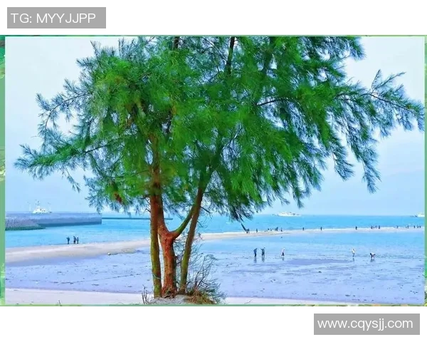 足球明星侧颜高清照片展现魅力与风采的完美瞬间